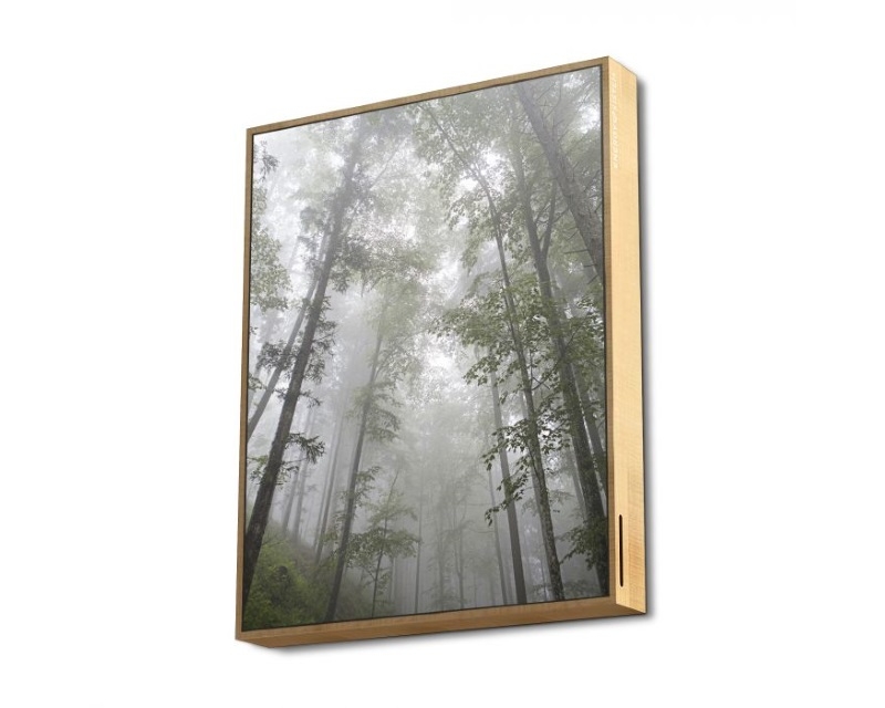 Frame Speaker Forest zvučnik Frame Speaker Forest zvučnik